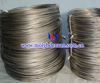 Pure Molybdenum Wire Imagen